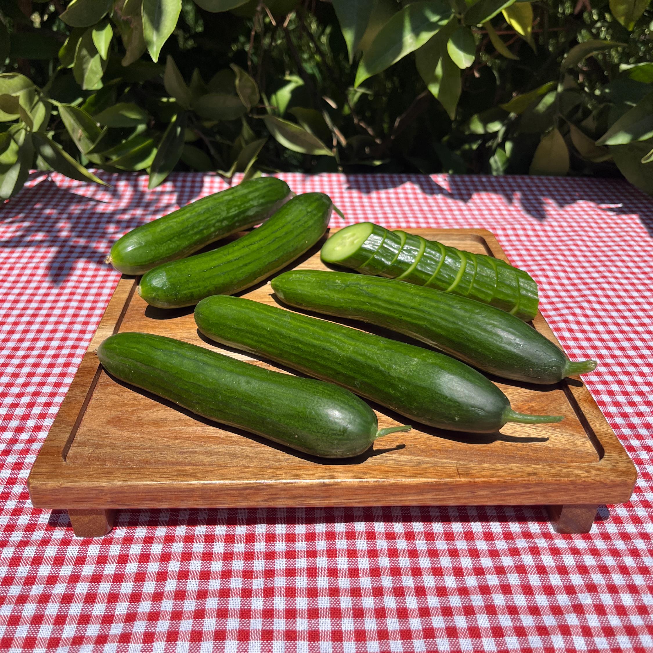 Organik Salatalık (500 Gr)