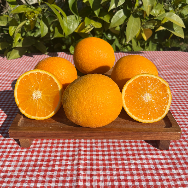 Organik Valencia Portakal (1 Kg)