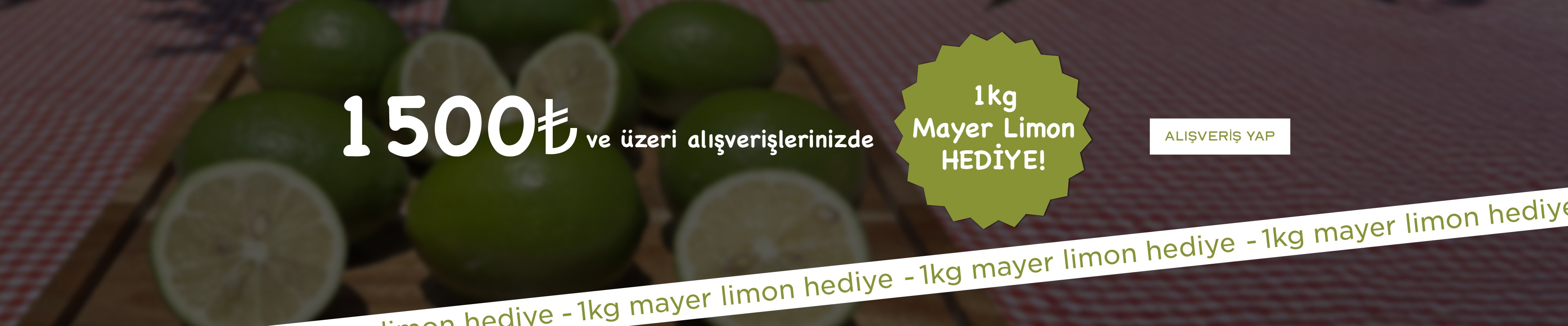 anamurbahcesi