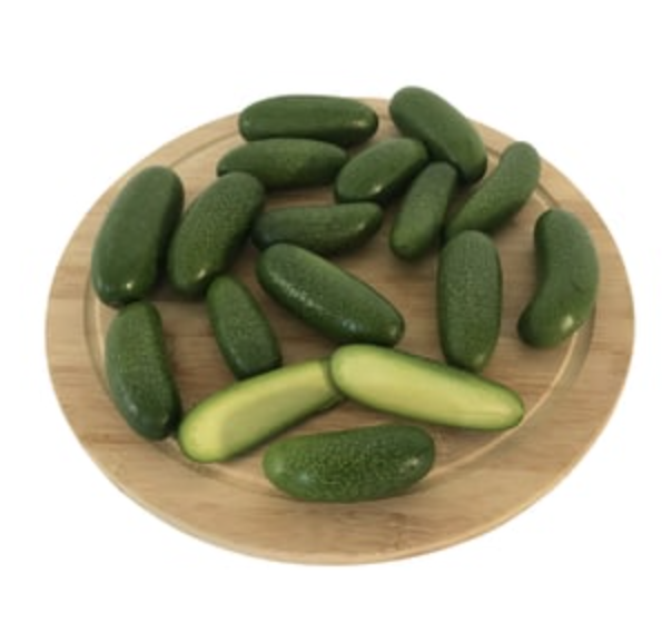 Bebek  Avokado - Anamur Bahçesi