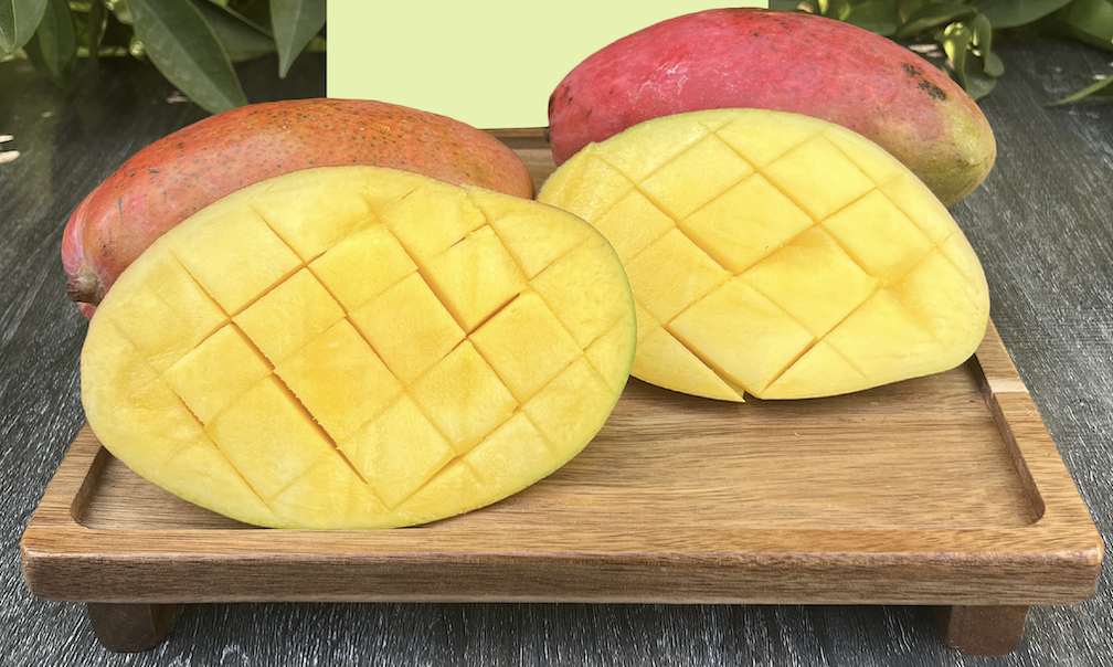 Yerli Mango- Anamur Bahçesi