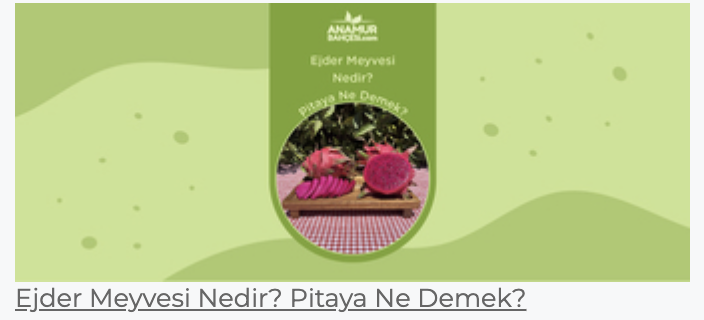 ejder Meyvesi nedir