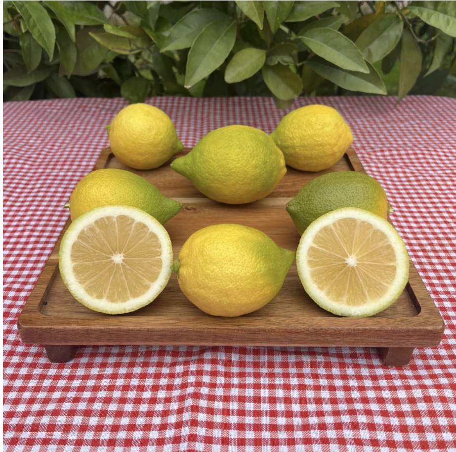 Organik Kütdiken Limon