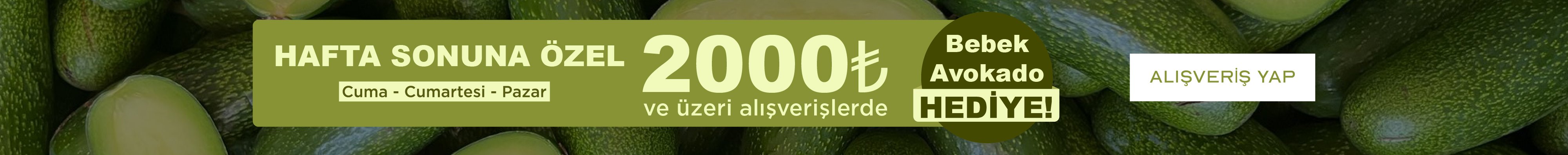 anamurbahcesi