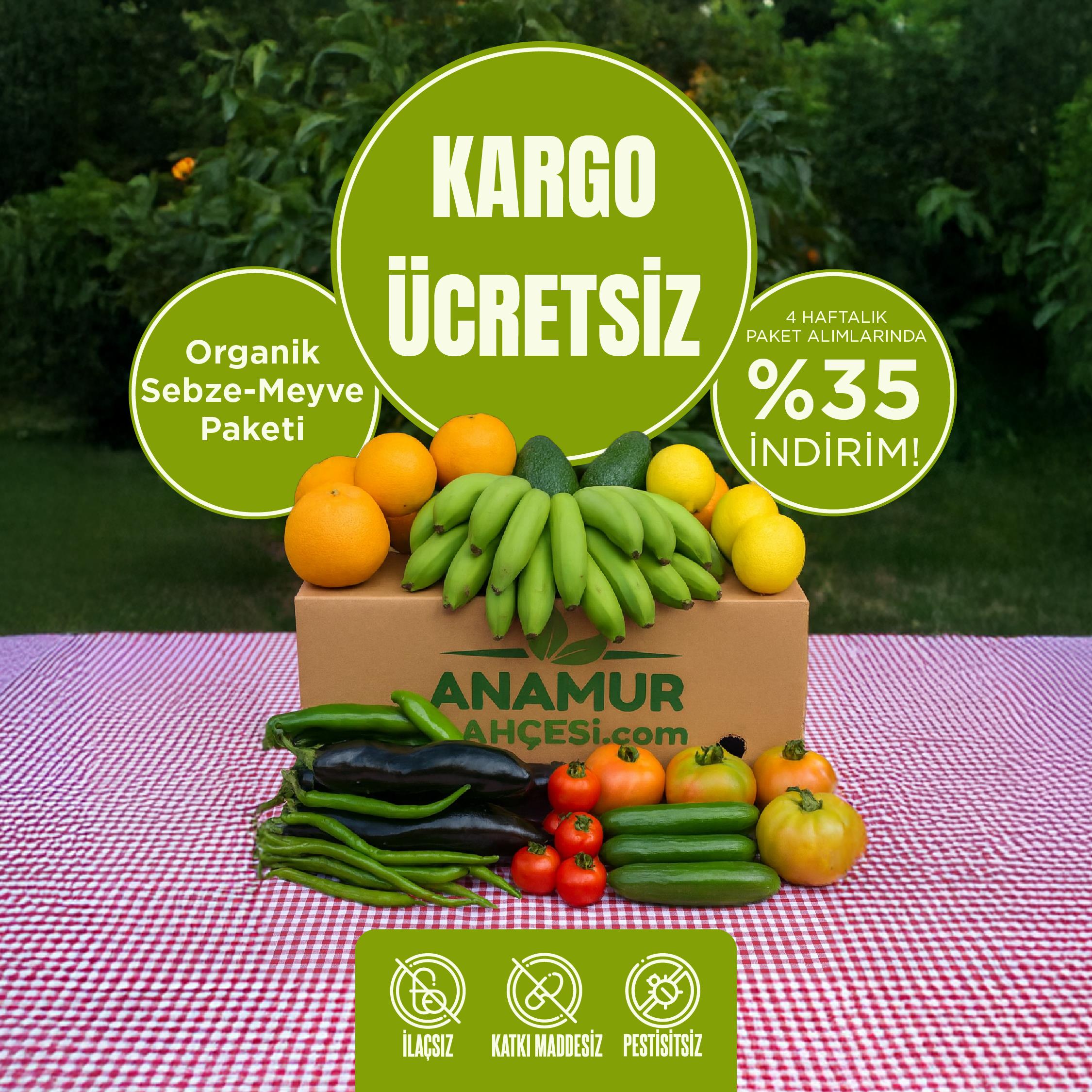 Aylık Organik Meyve Sebze Paketi