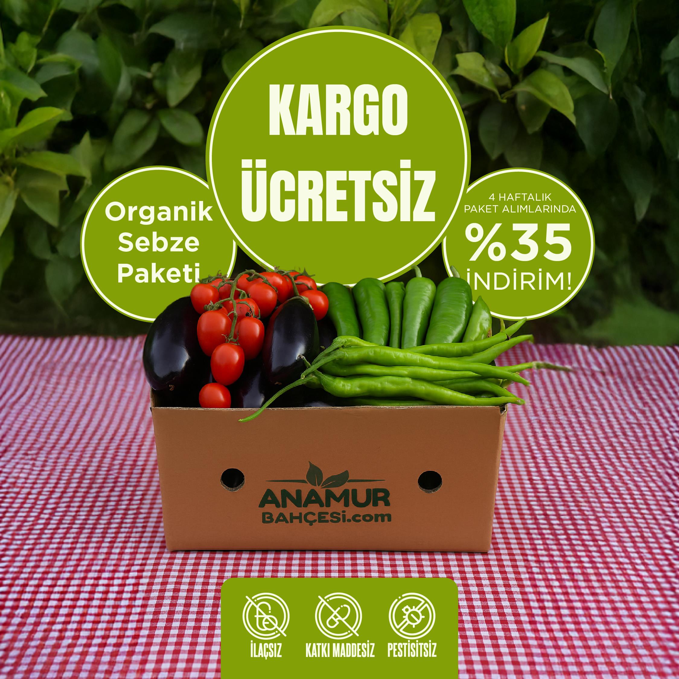 Aylık Organik Sebze Paketi