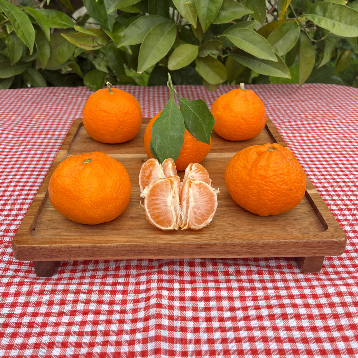 Organik Mandalina (1 Kg)