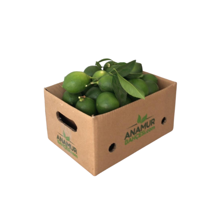 Organik Mayer Limon (10 Kg)