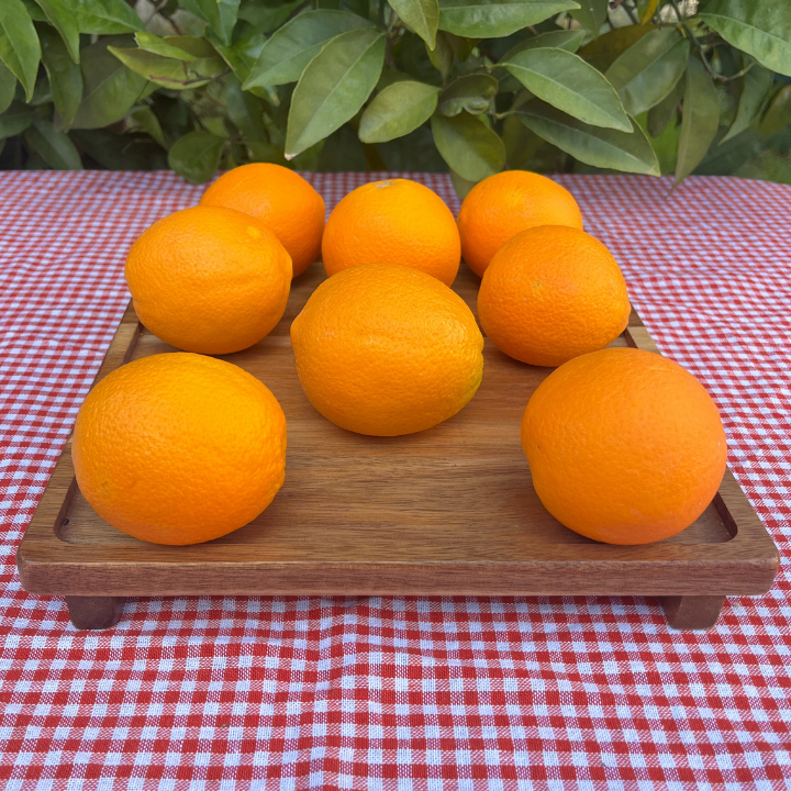 Organik Sıkmalık Portakal (1 Kg)