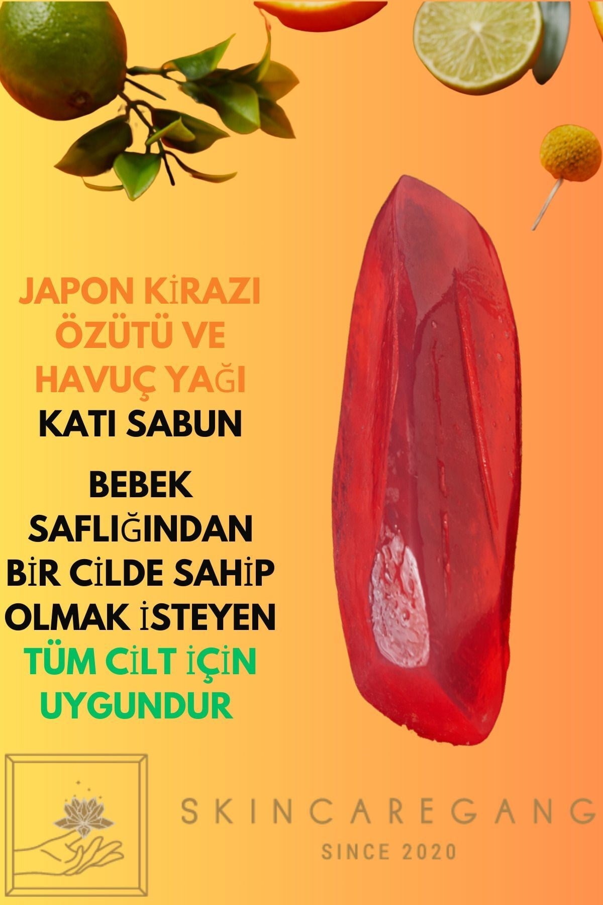 japon-kirazi-ozutu-ve-havuc-yagli-doga-c-b4dd.jpg