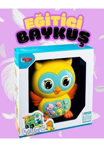 VardemKutulu Işıklı ve Müzikli Baykuş Bebek Piyanosu