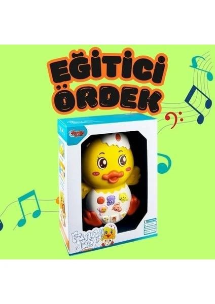 VardemKutulu Işıklı ve Müzikli Ördek Bebek Piyanosu