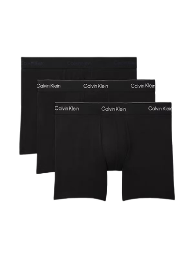 Calvin Klein Erkek 3'lü Boxer LV00NB4394