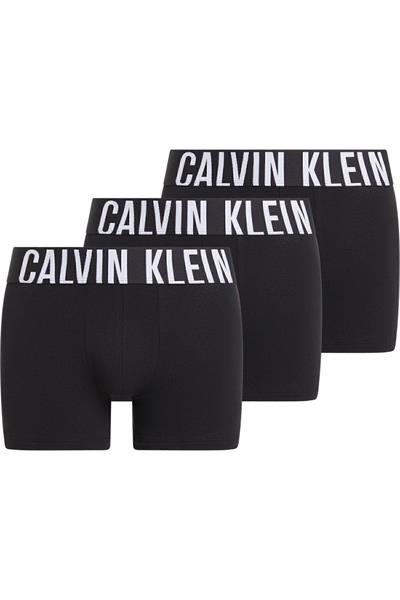 Calvin Klein Erkek 3lü Siyah Boxer Trunk 000NB3608A 