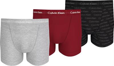 Calvin Klein Erkek Boxer Trunk 3lü Paket 000NB3056A