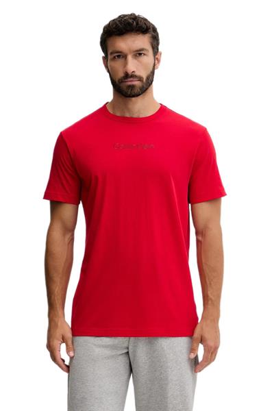 Calvin Klein Erkek Kırmızı T-Shirt 000NM2748E 