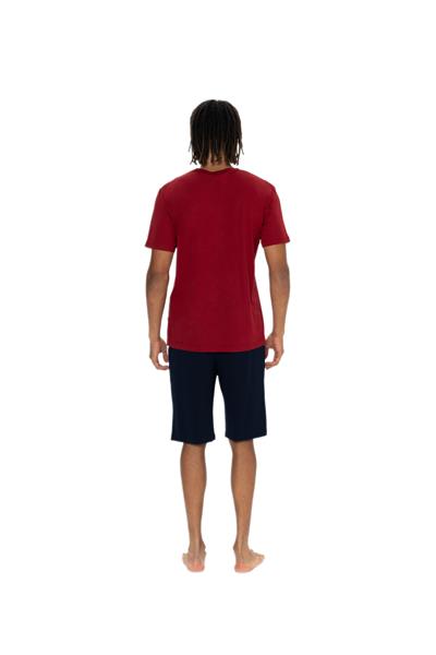 U.S. Polo Assn. Erkek Bordo Şort Takım 18884 