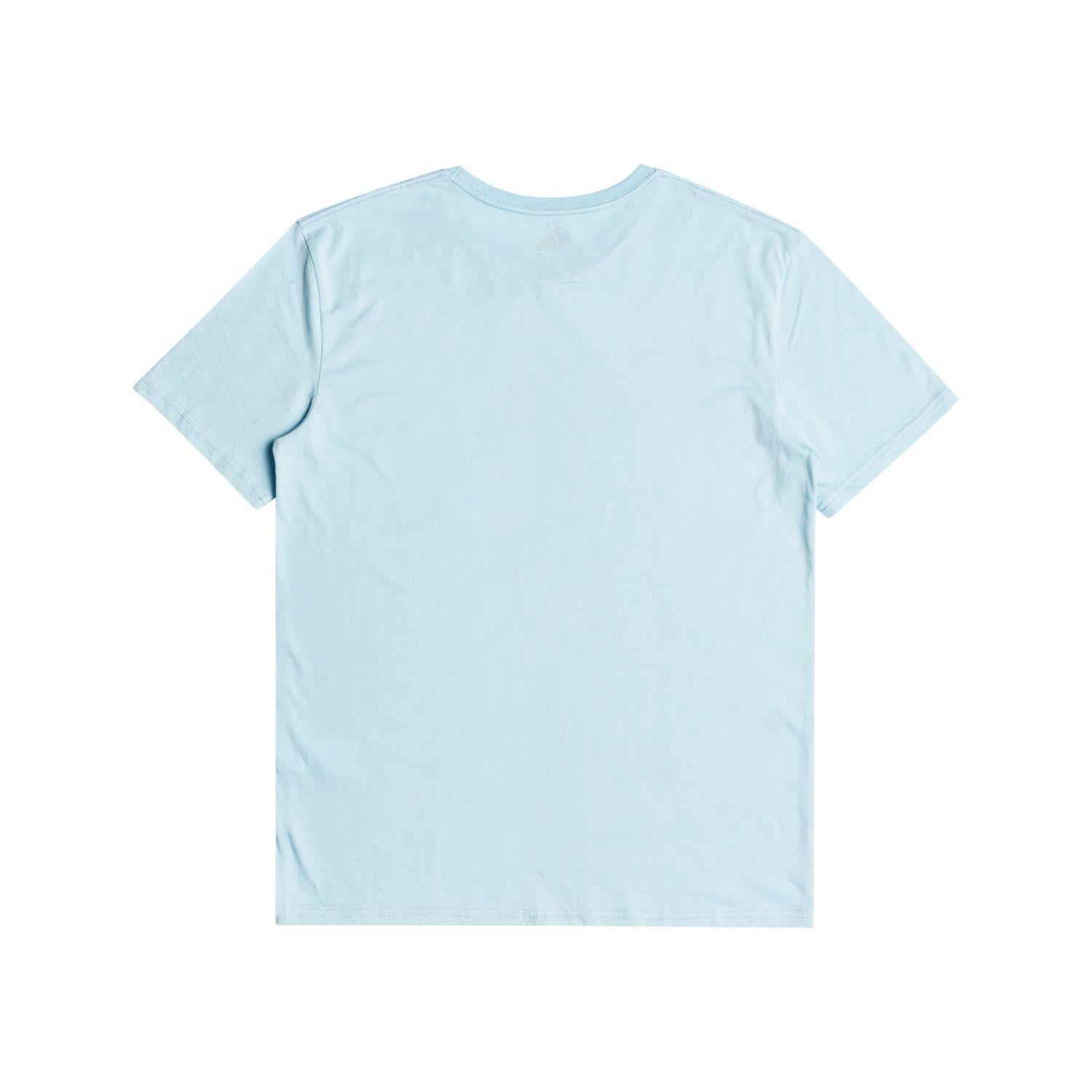 Quıksılver COMPLOGO M TEES Erkek T-shırt EQYZT06534-BGC0