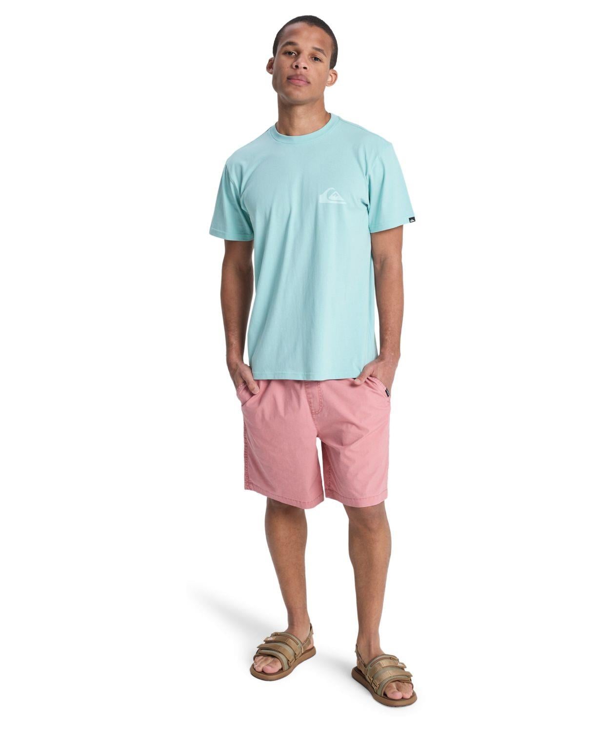 Quiksilver EV MINI LOGO Erkek Tişört EQYZT08181-QK.BGA0