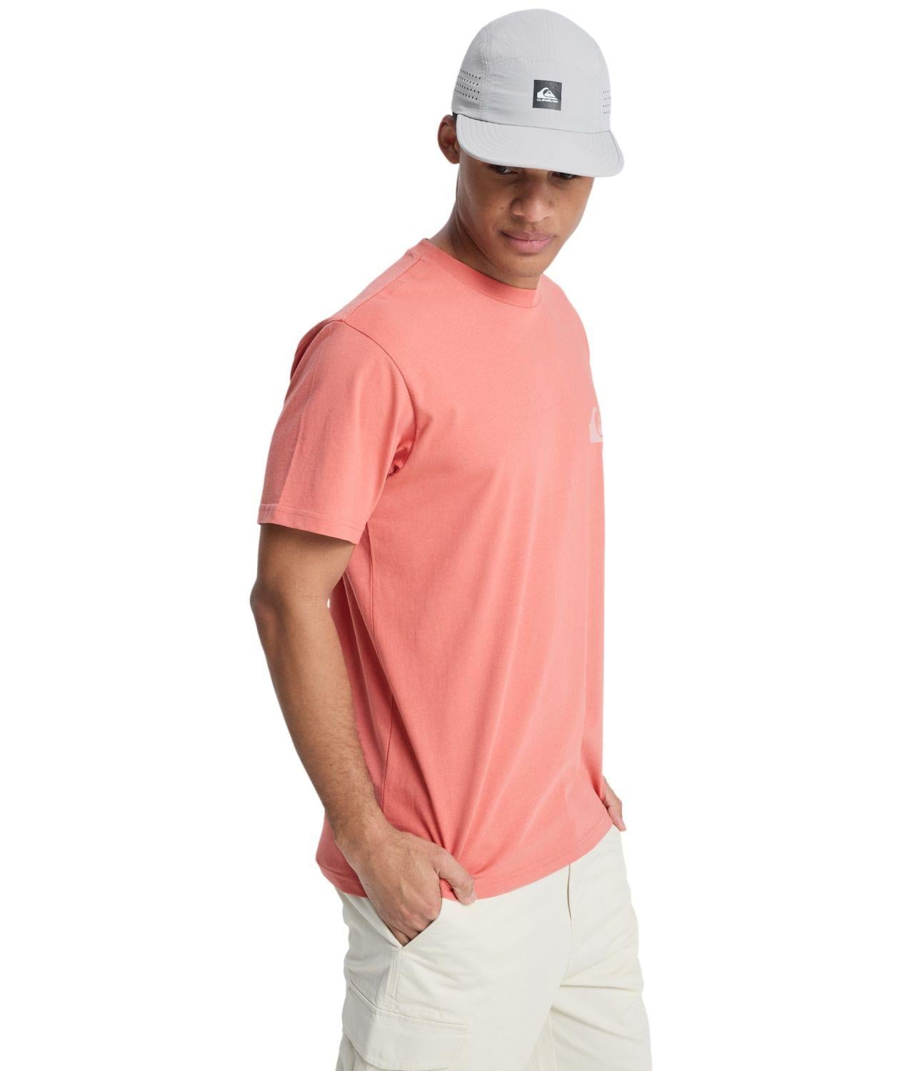 Quiksilver EV MINI LOGO Erkek Tişört EQYZT08181-QK.2020