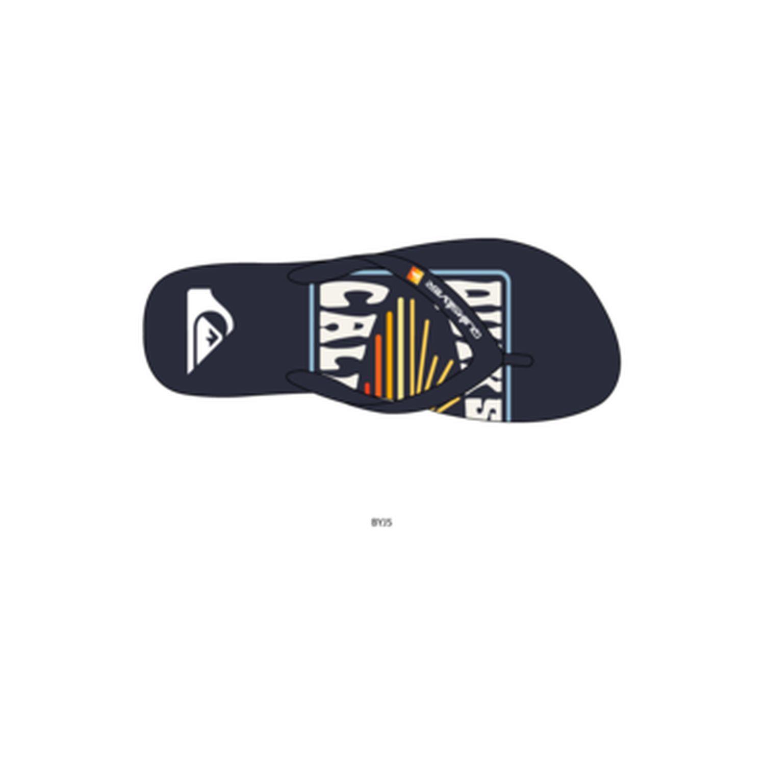 Quiksilver MOLOKAI ART SL Erkek Terlik AQYL101278
