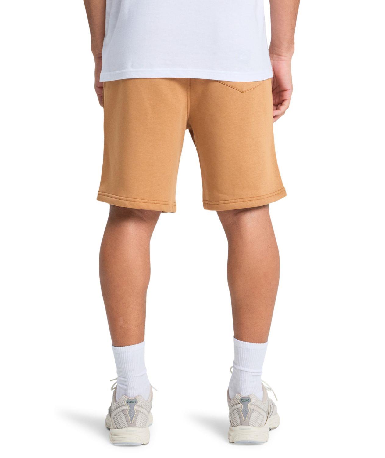 Quiksilver SALT WATER SHOR Erkek Şort EQYFB03392-QK.3106