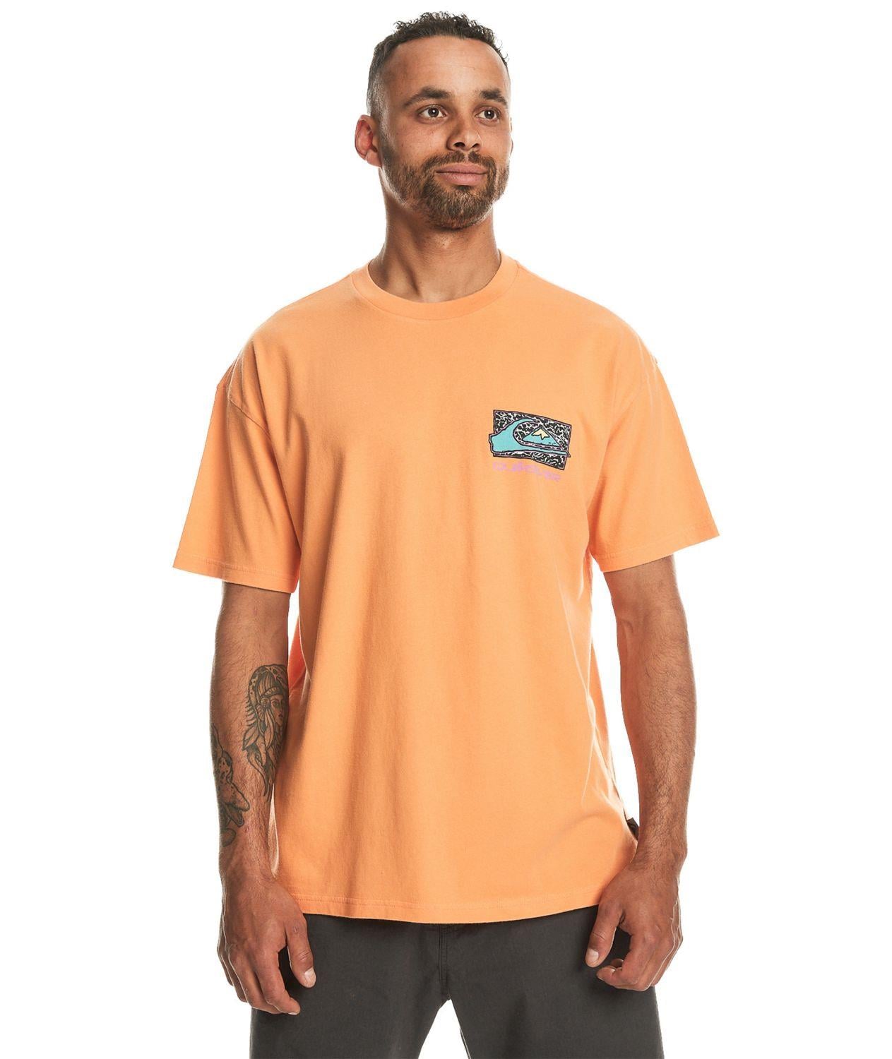 Quıksılver SPIN CYCLE SS Erkek T-shirt EQYZT07653-QK.25178
