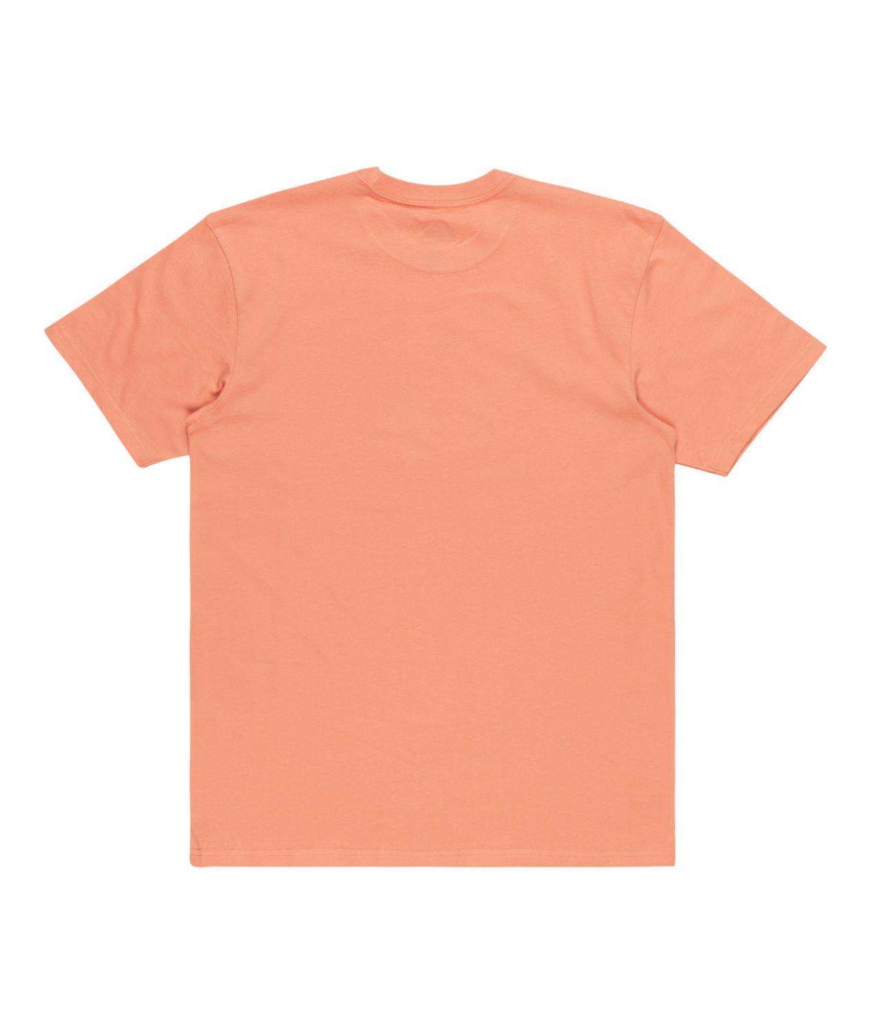 Quıksılver TROPICAL RAINBOW SS Erkek T-shirt EQYZT07679-QK.MJR0