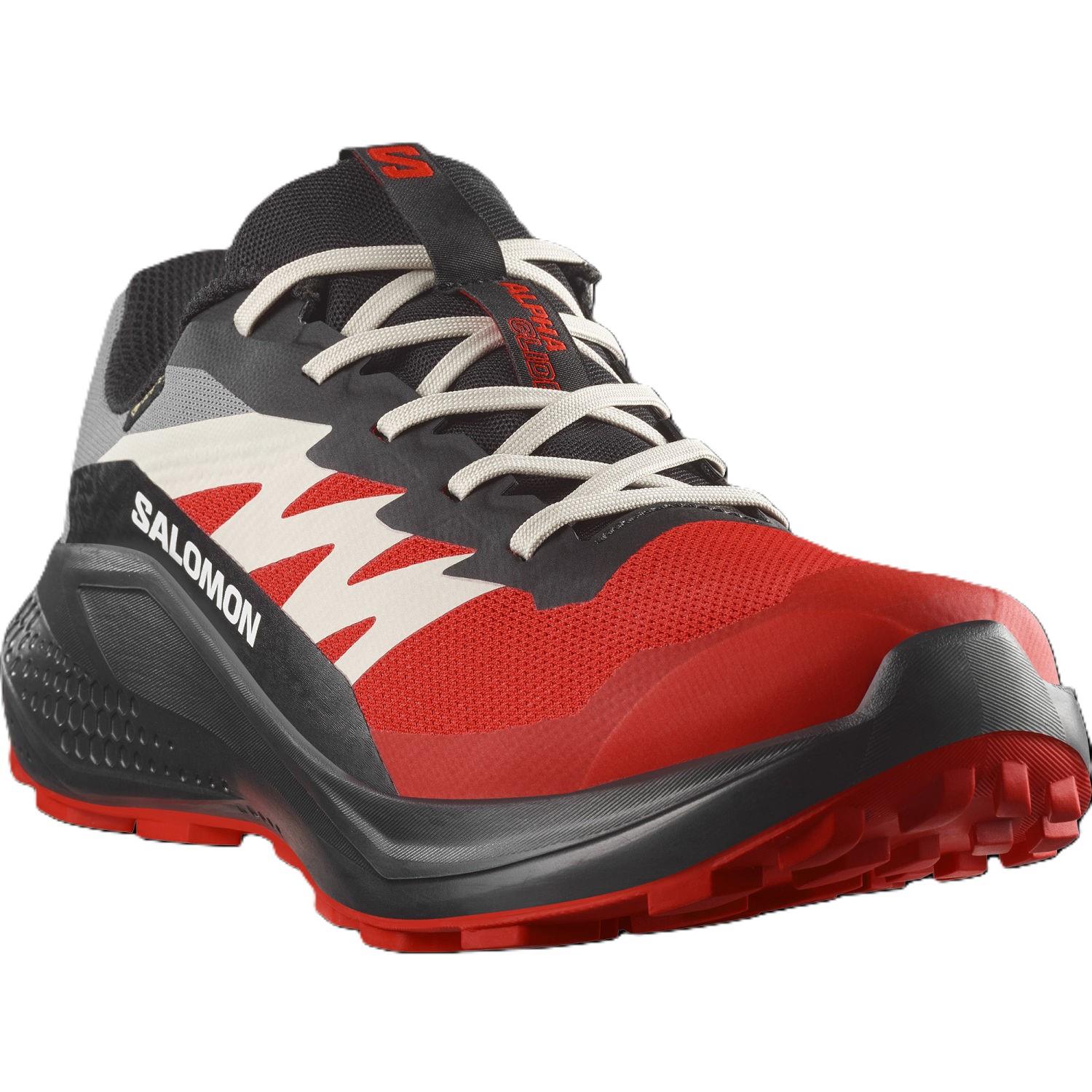 Salomon ALPHAGLIDE GORE-TEX Erkek Ayakkabısı L47975200