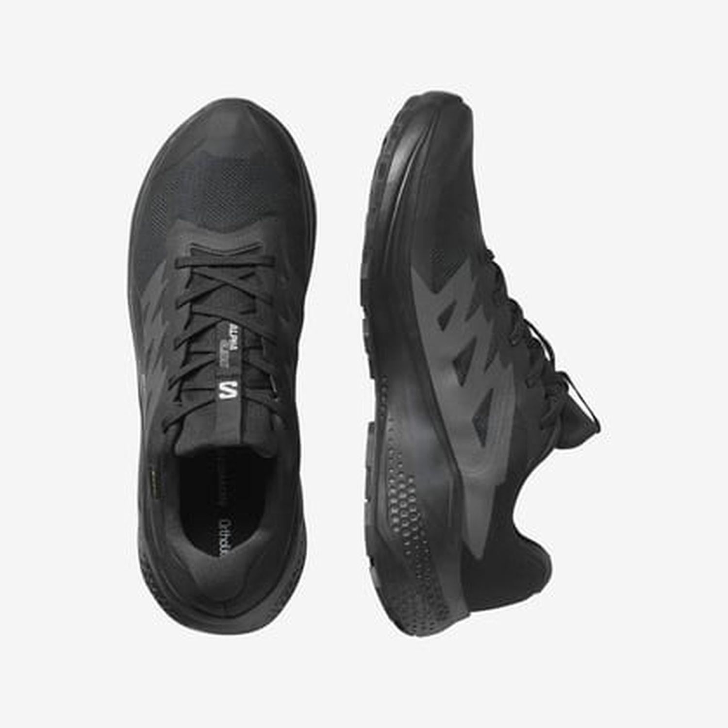 Salomon ALPHAGLIDE GORE-TEX Erkek Ayakkabısı L47802100