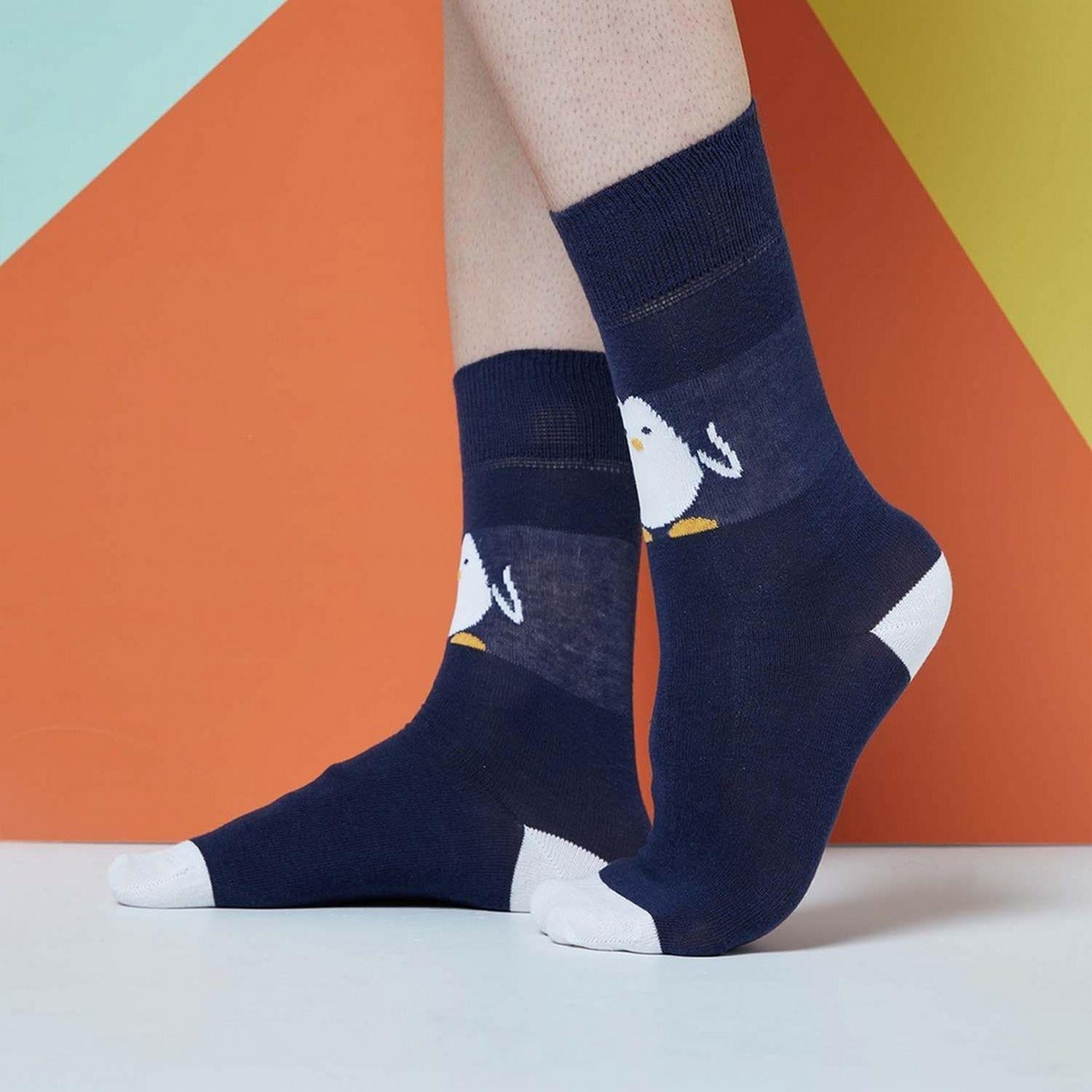 Socks HELLO PENGUIN Çorap