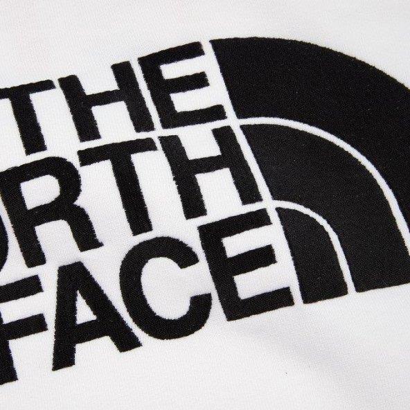 The North Face Erkek Drew Peak Pullover Hoodie T0AHJYLA9
