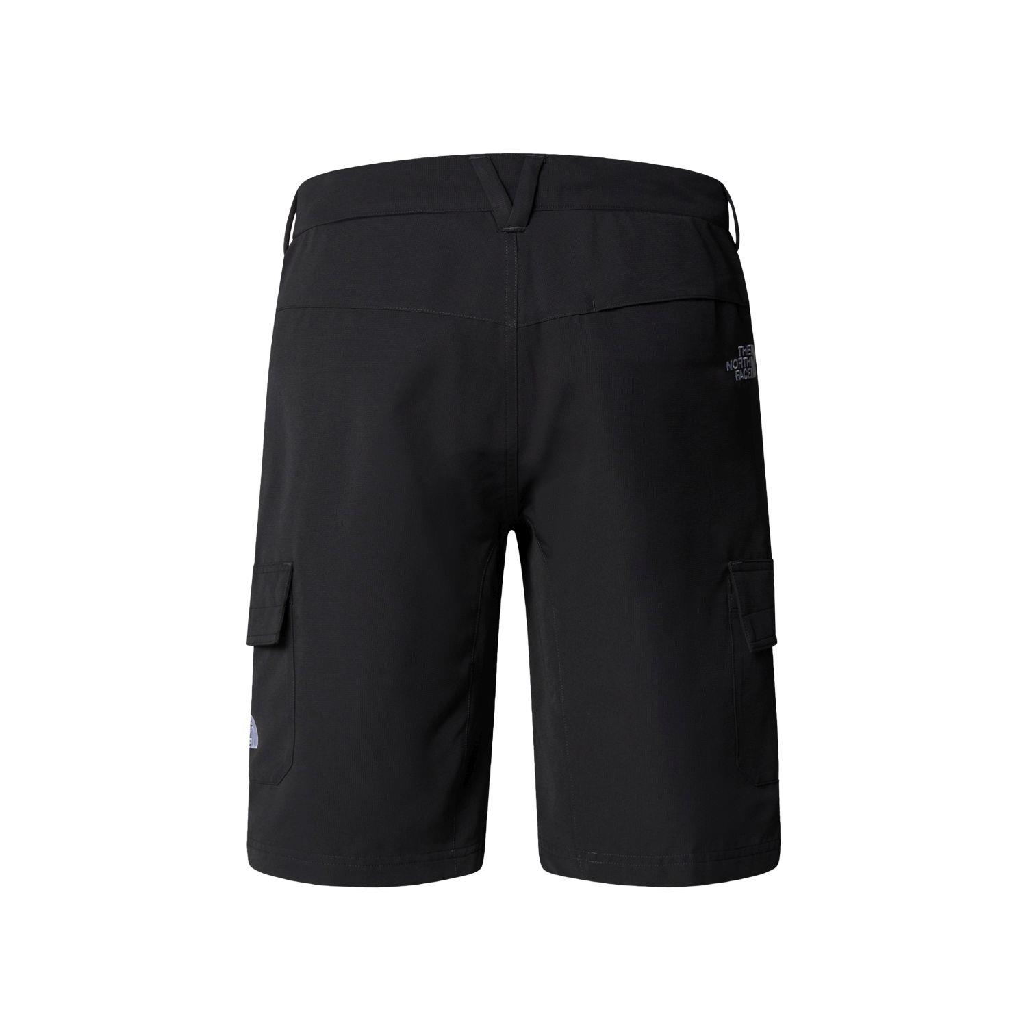 The North Face Erkek HORIZON Şort - EU NF0A824D4EN1
