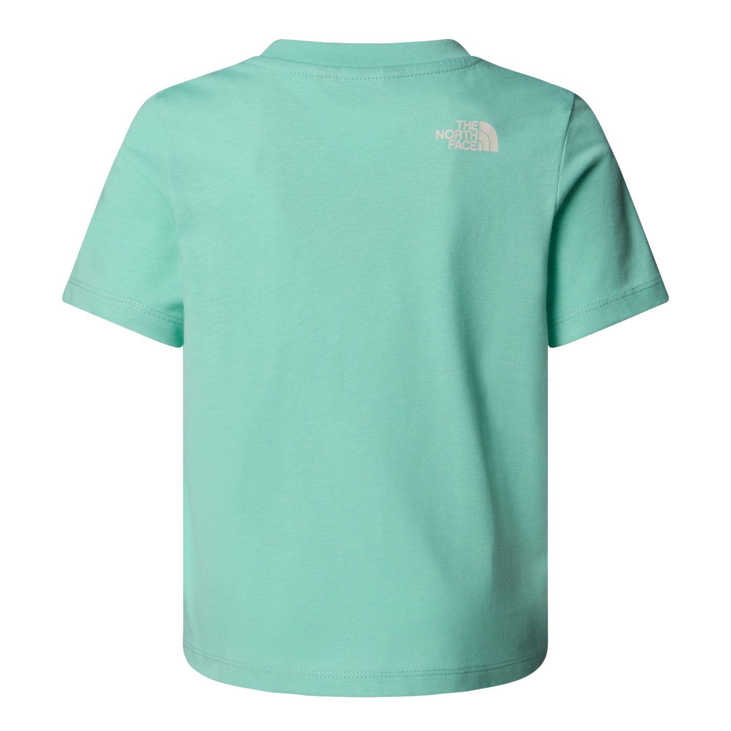The North Face GRAPHIC RELAXED Erkek Çocuk Tişörtü NF0A8AXEDYX1