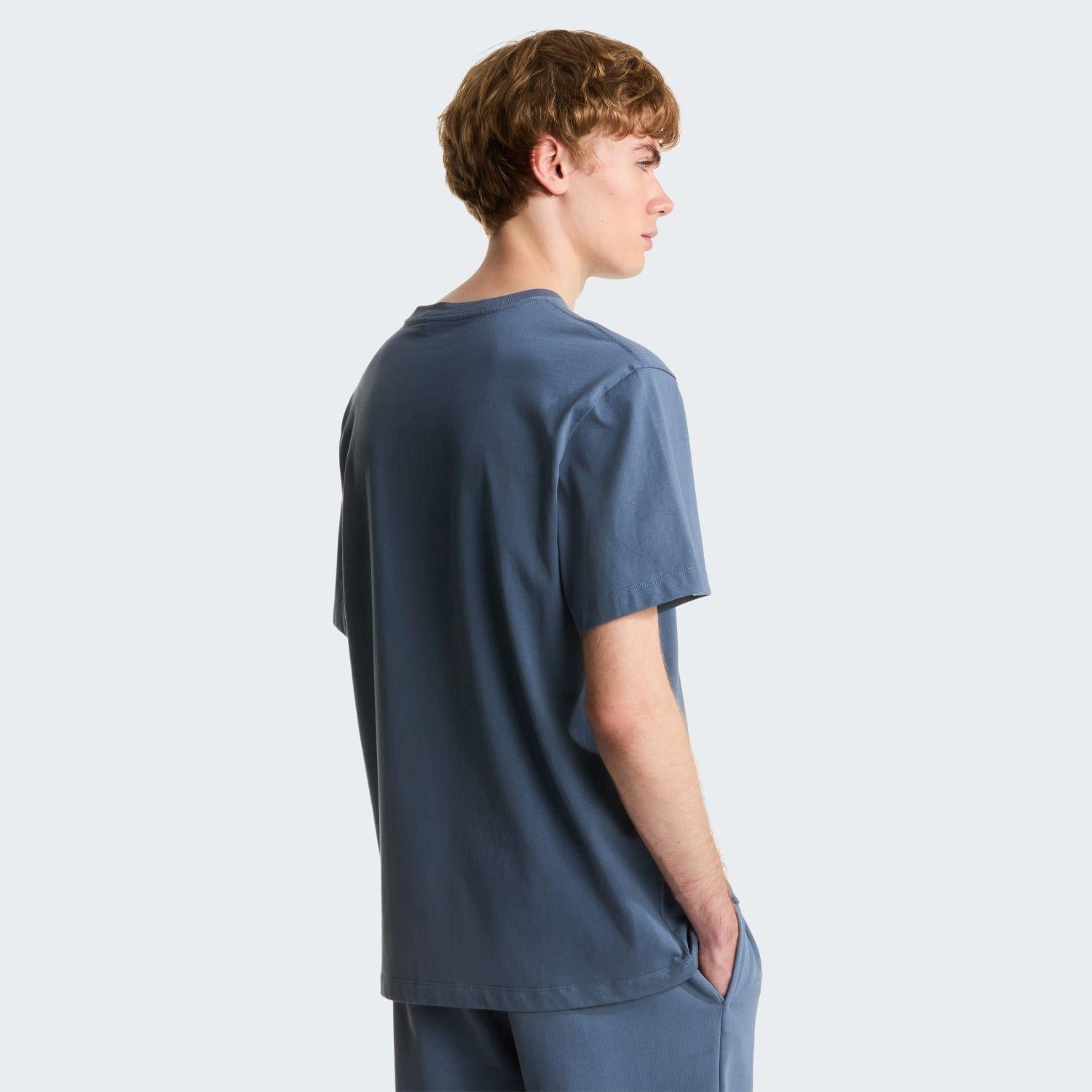 The North Face M ESSENTIAL CENTER LOGO RELAXED SHORT SL Erkek Tişört NF0A8GQE0U31