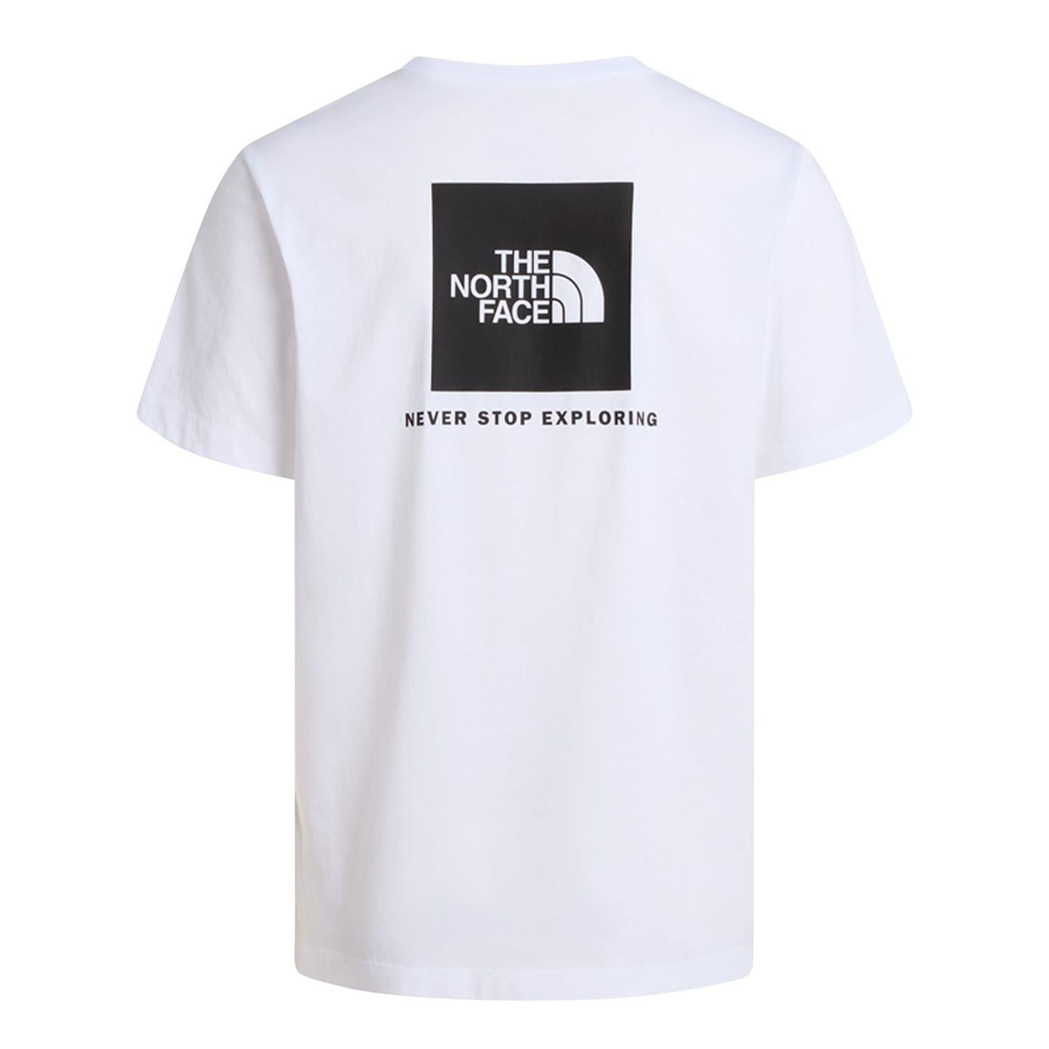 The North Face M EVOLUTION BOX NSE REGULAR SHORT SLEEVE Erkek Tişört NF0A8B6KFN41