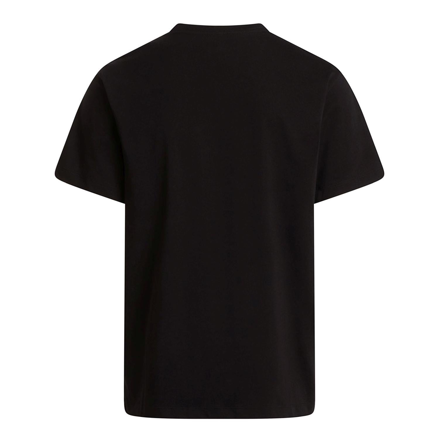 The North Face M EVOLUTION SIMPLE DOME REGULAR Erkek Tişört NF0A8CZ2JK31