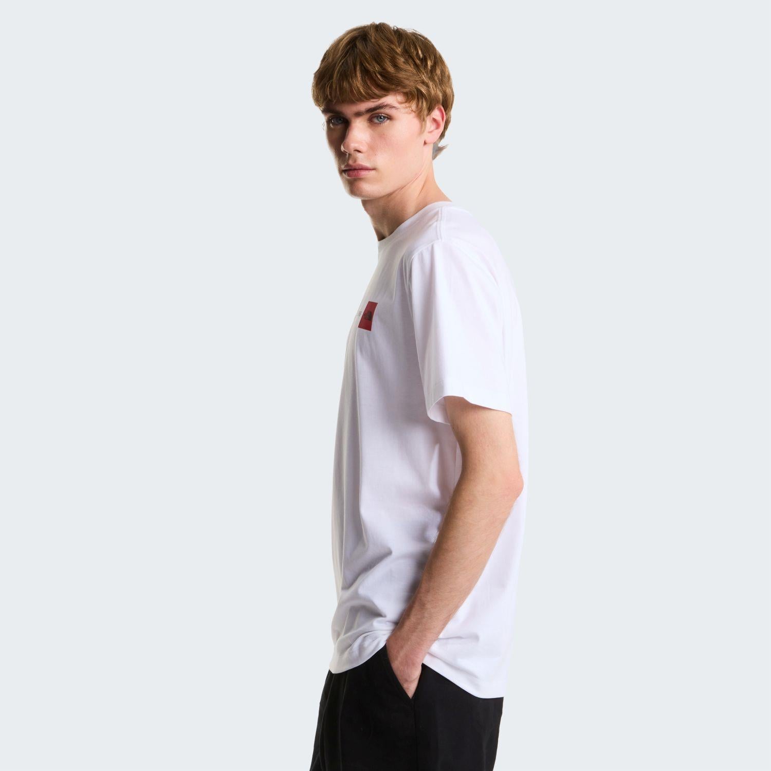 The North Face M NSE REG SS TEE-GRAPHIC Erkek Tişört NF0A8GUVFN41