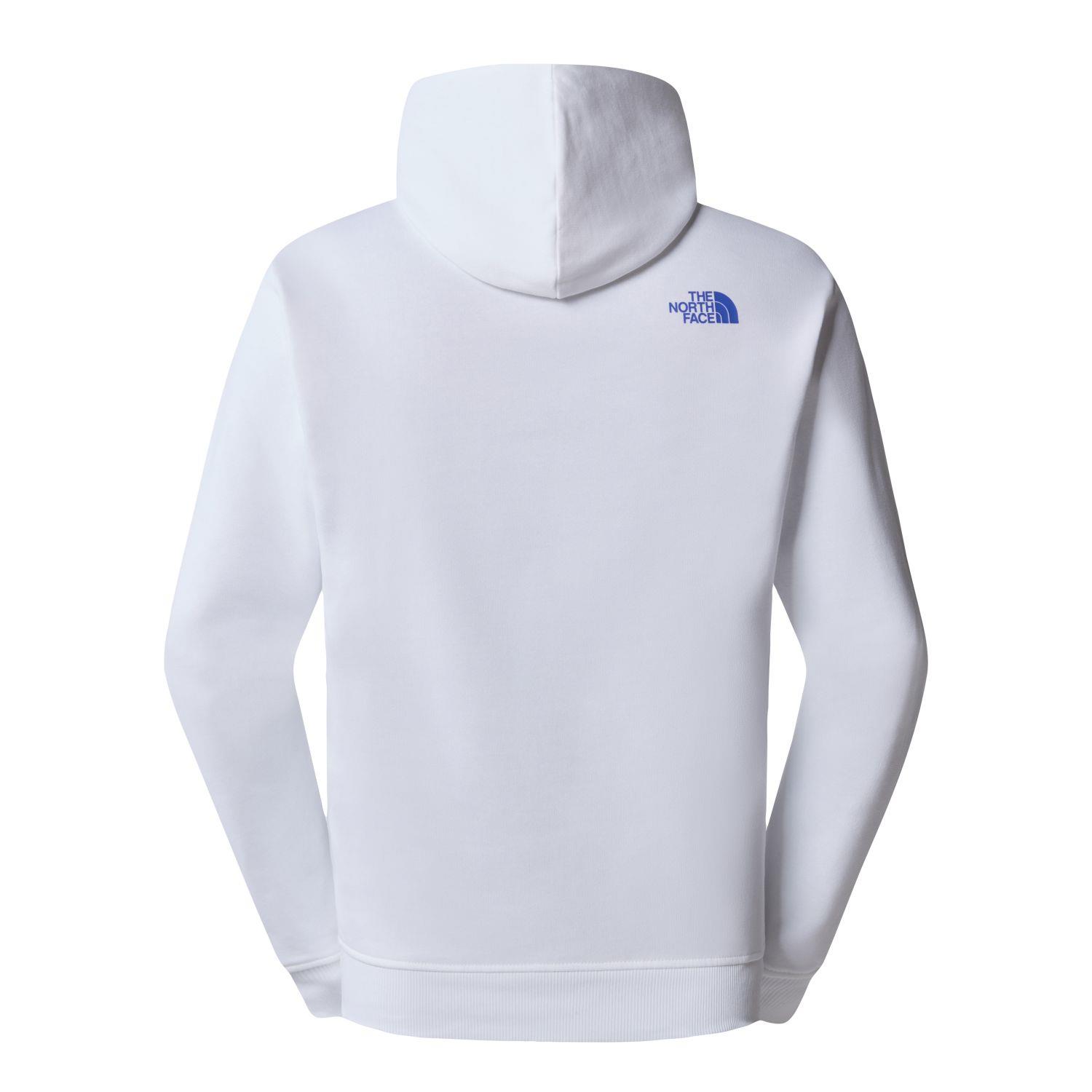 The North Face M SS24 COORDINATES HOODIE Erkek Sweat Shirt NF0A87EAFN41
