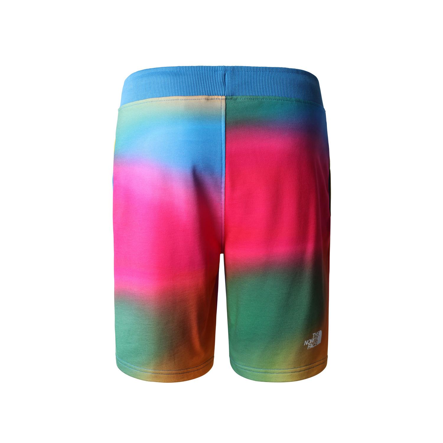 The North Face M STANDARD SHORT LIGHT-EU Erkek Şort NF0A3S4EIAX1