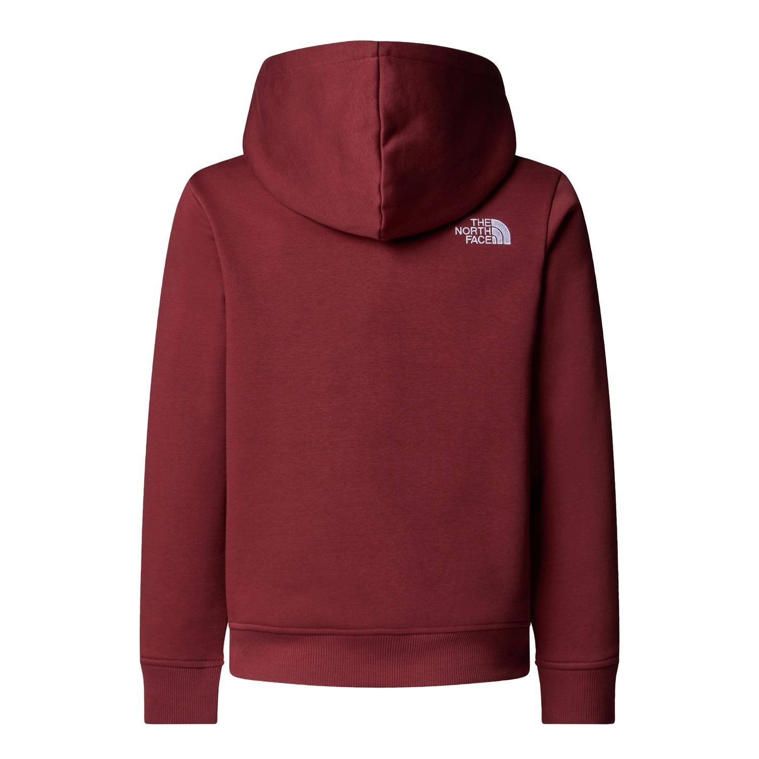The North Face TEEN DREW PEAK PULLOVER HOODIE Genç Çocuk Sweatshirt NF0A8EHH0VO1