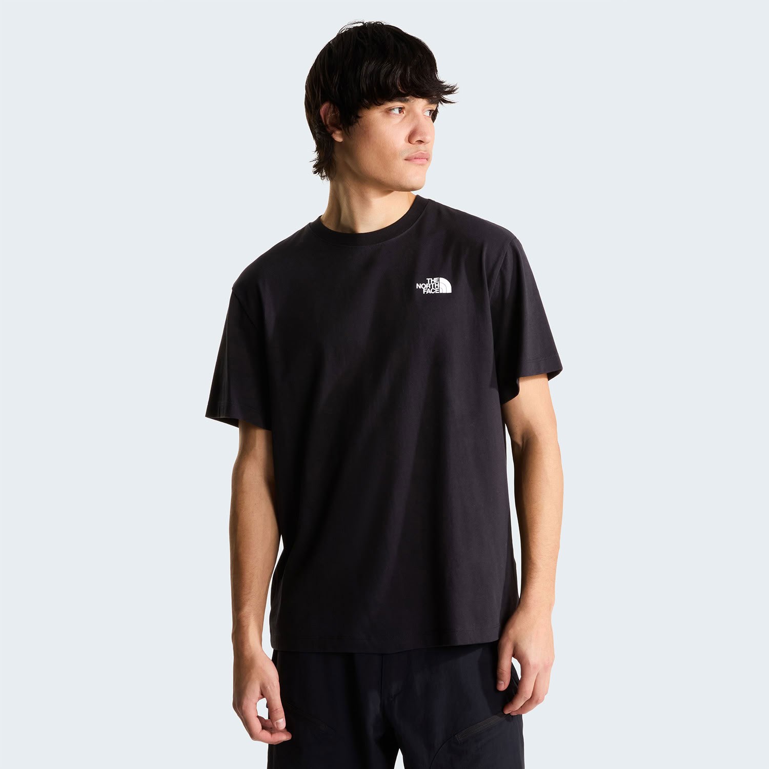 The North Face U TESTED AND PROVEN RELAXED SS TEE Erkek Tişört NF0A8H6CJK31