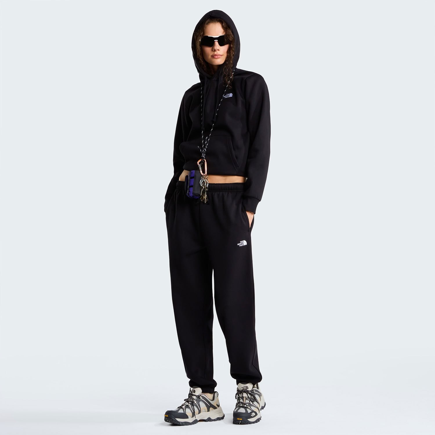 The North Face W EVOLUTION SIMPLE DOME REGULAR HOODIE Kadın Sweatshirt NF0A8CWNJK31