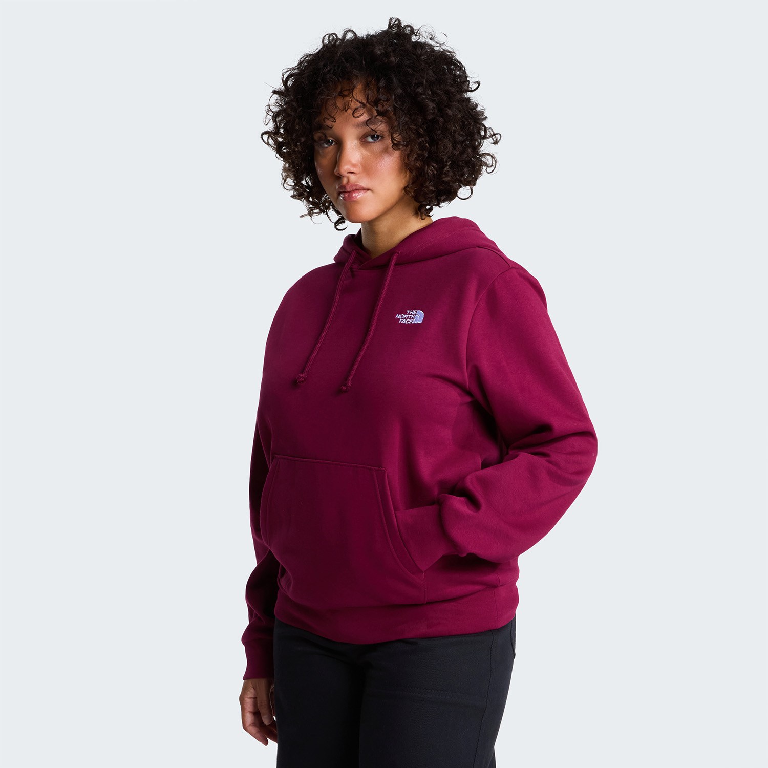 The North Face W EVOLUTION SIMPLE DOME REGULAR HOODIE Kadın Sweatshirt NF0A8CWNMVO1