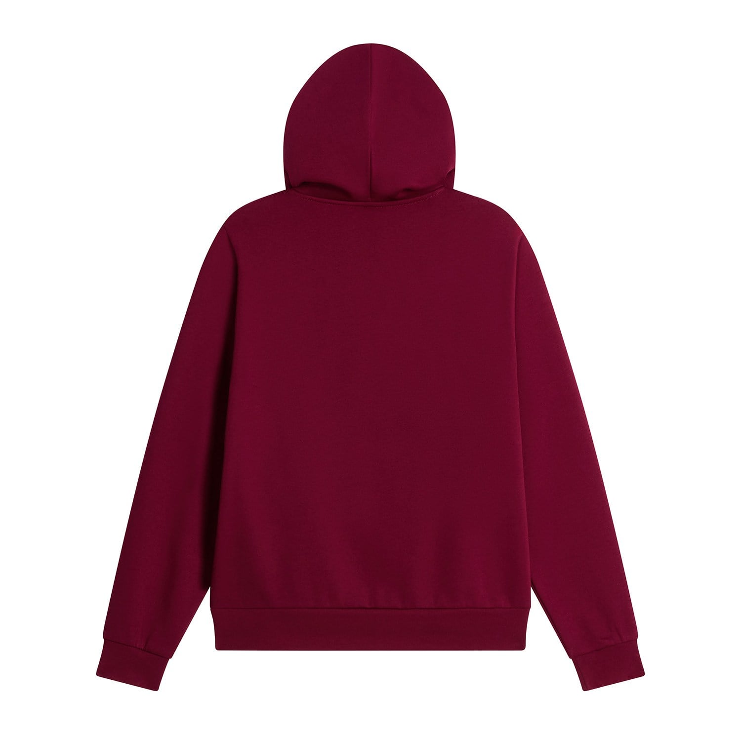 The North Face W EVOLUTION SIMPLE DOME REGULAR HOODIE Kadın Sweatshirt NF0A8CWNMVO1