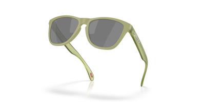 Oakley FROGSKINS Unisex Gözlük 0OO9013-OAK.M2