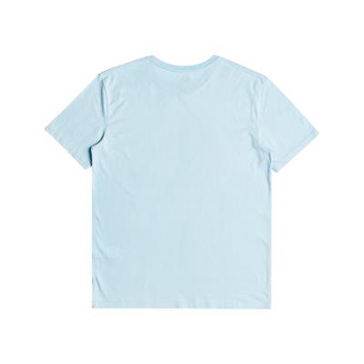 Quıksılver COMPLOGO M TEES Erkek T-shırt EQYZT06534-BGC0
