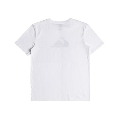 Quıksılver COMPLOGO M TEES Erkek T-shırt EQYZT06534-WBB0