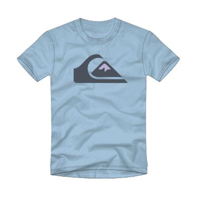 Quıksılver COMPLOGO M TEES Erkek T-shırt EQYZT06534-BGC0