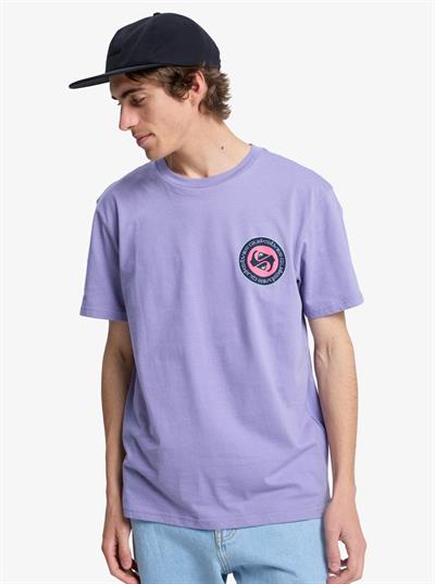 Quiksilver EV DUALITY Erkek Tişört EQYZT08290-QK.PKS0